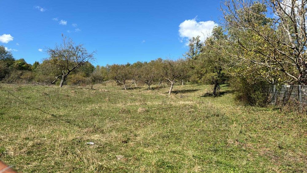 Teren intravilan cadastrat 7007 mp casa sau ferma in Bezdead Dambovita