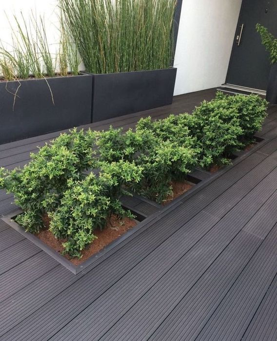 Террасная доска Дпк Декинг