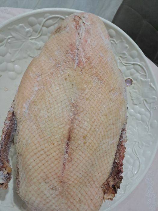 Продам домашних гусей