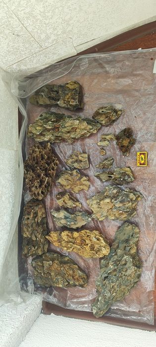 Драконий камень для аквариума