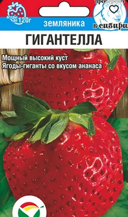 Семена разных ягод,овощей