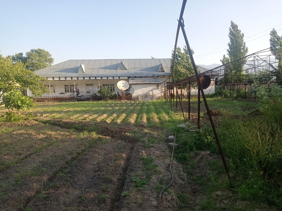 Уй сотилади  думолок кишлогида