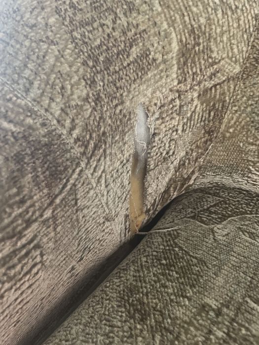 Диван . Прибалтика.