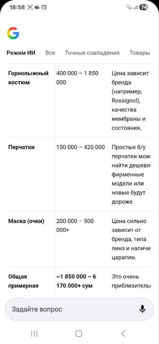 Горные лыжи в комплекте