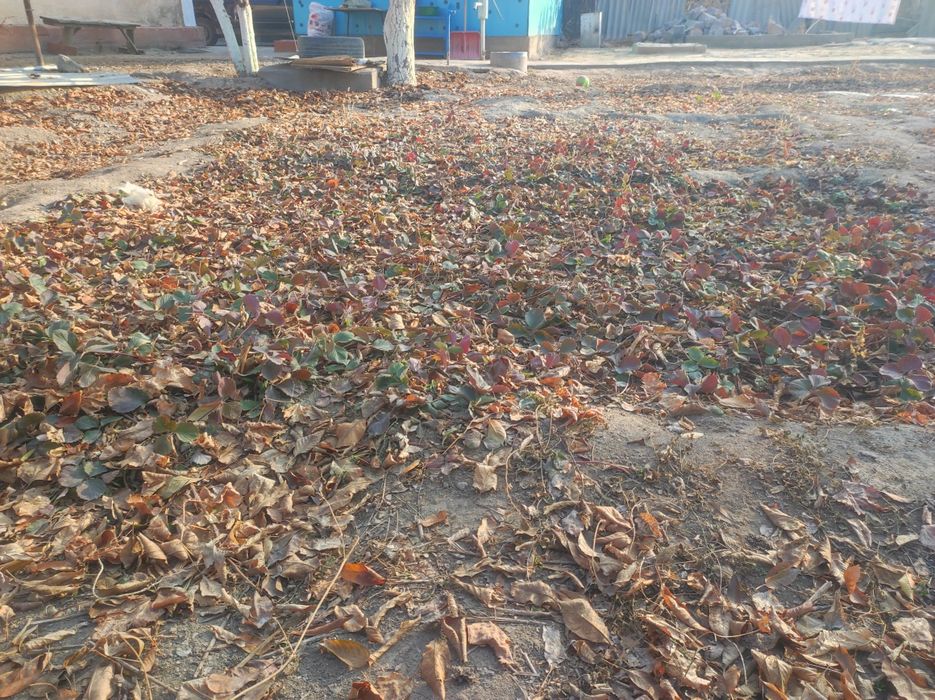 Продается дом в центрге Төле би зади мечети цена 16 лям