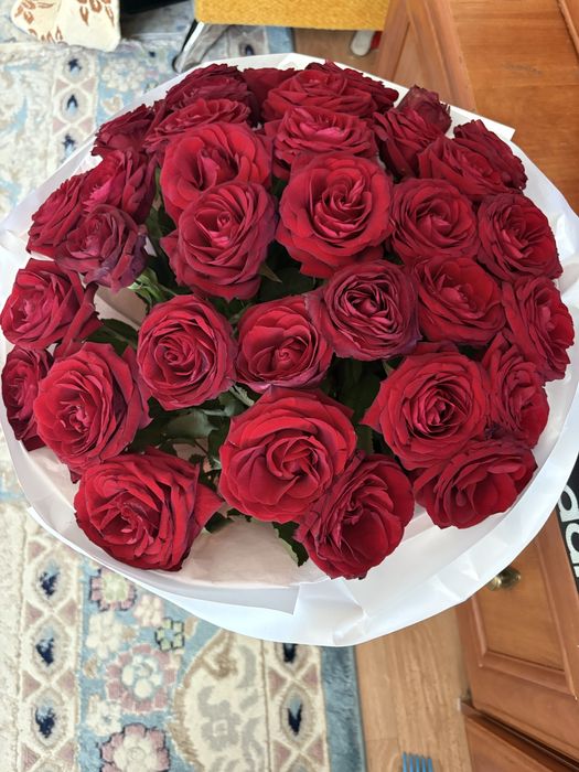 Свежые и красивые розы