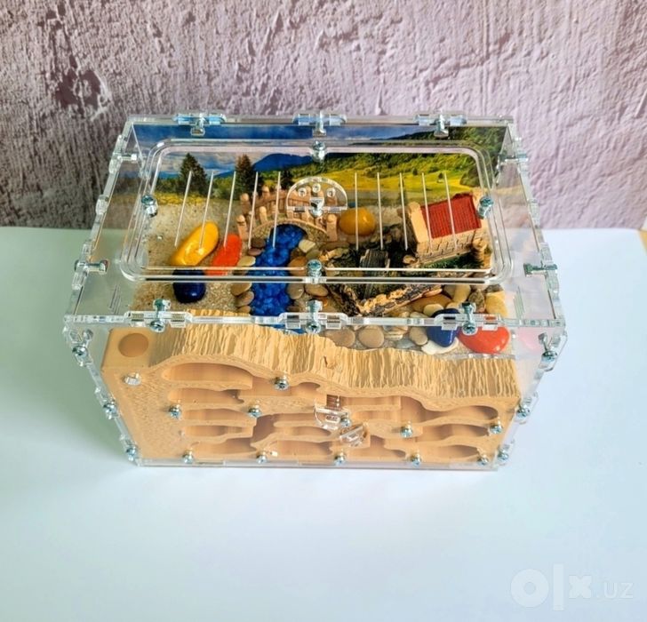 Продаётся необычная муравьиная ферма.