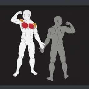 Фитнес Уред за Гърди (Бътърфлай) – Pectoral IF9304