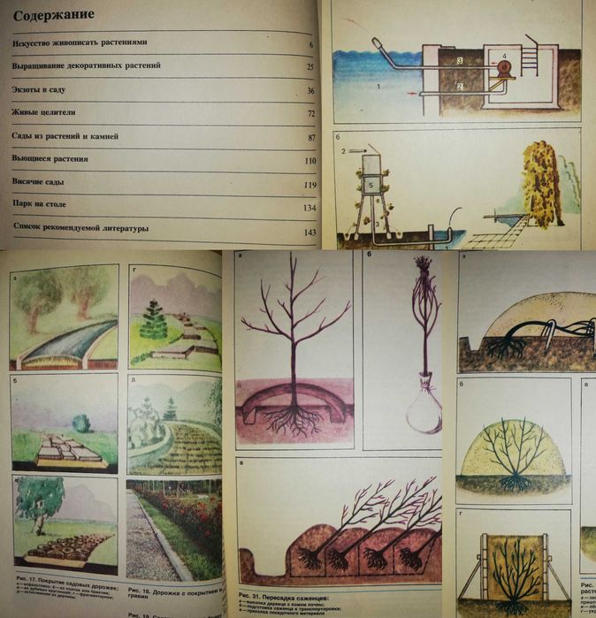 Книги : Грибы, Цветоводство, Ландшафтный дизайн, Садовый участок