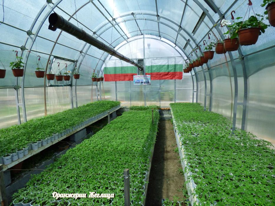 Разсади за Домати, Краставици, Билки и Цветя