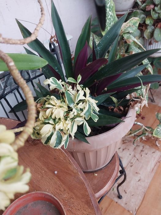 Красивый аксессуар на подоконник,