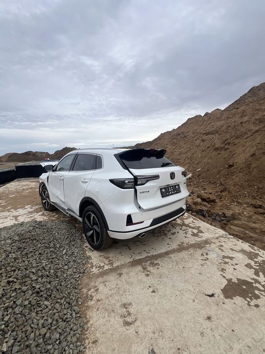 Чанган на разбор