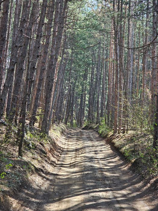 Продава се Парцел в София, Дружба 1 - 505 кв.м за 90 €/кв.м - Снимка #14