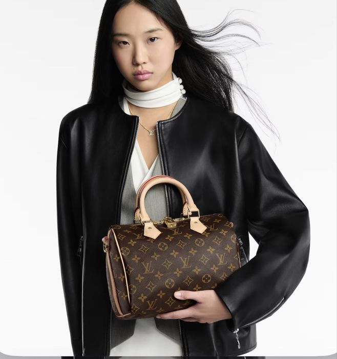 Сумка Louis Vuitton LV Speedy 25