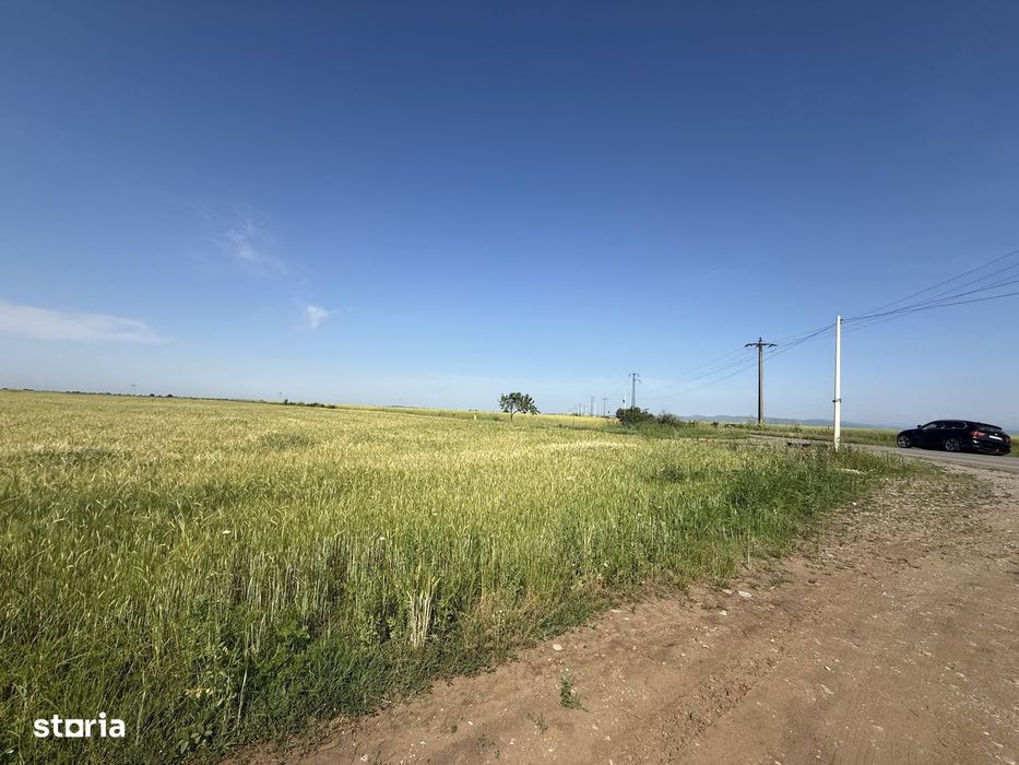 Teren 10 hectare pretabil pt panouri solare-Aricesti Rahtivani