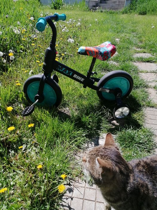 Детско колело  "Chipolino" 2 в 1, за баланс и с педали