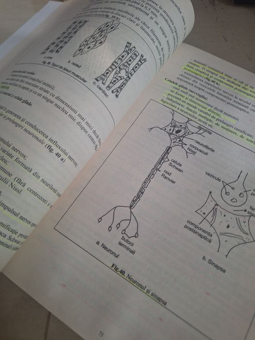 Bacalaureat  biologie