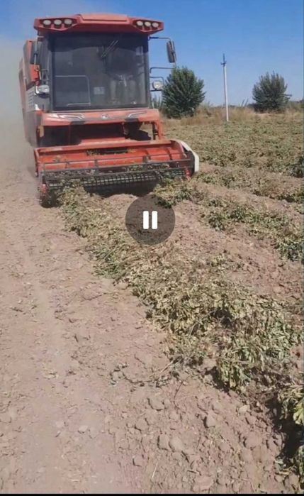 ФАСОЛ НУХАТ ЙЕРЁНГОК  МОШ  комбайн 2023 йил хитой давлатидан келган