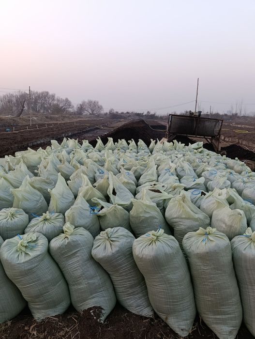 Sifatli va arzon biogums birinchi quldan