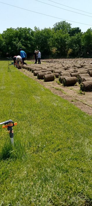 Газон ланшафни дизайн самарканд