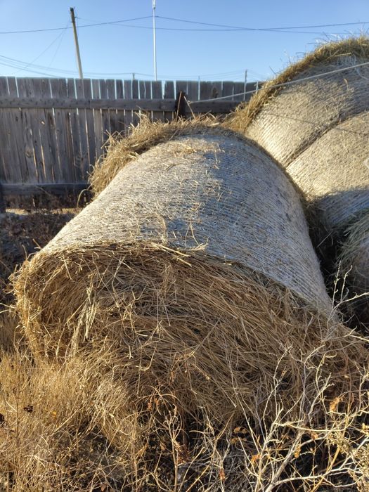 рулонный шоп, сено рулонные