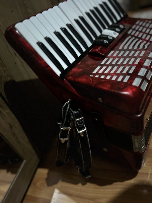 Acordeon parrot rosu top