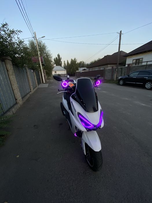 Макси лия maxi liya