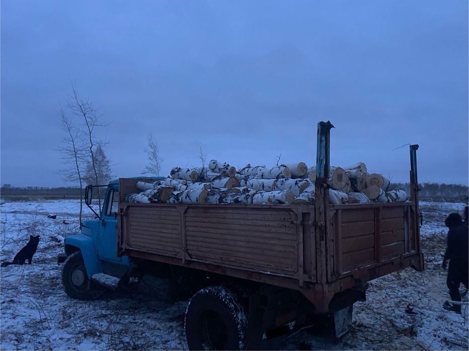 Продам дрова березы