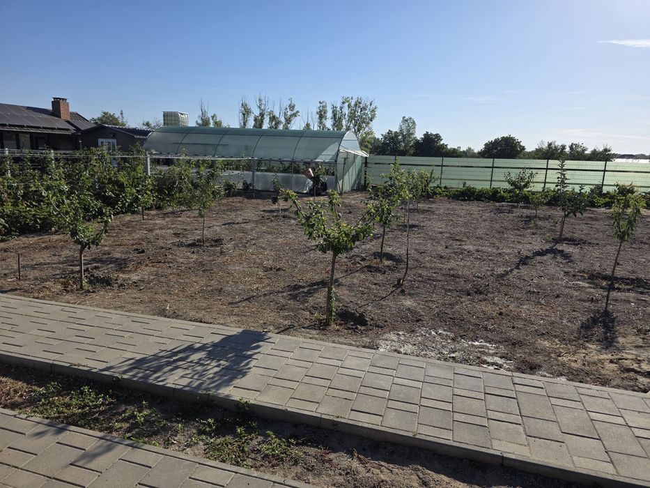 Teren 800 mp în Amara – intravilan, utilități, pomi, vie, zmeură, solar