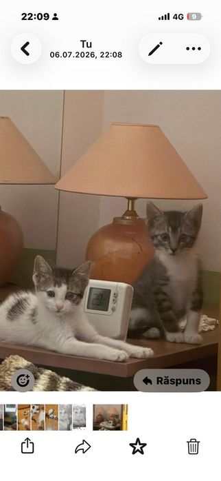 Cautam o familie iubitoare !