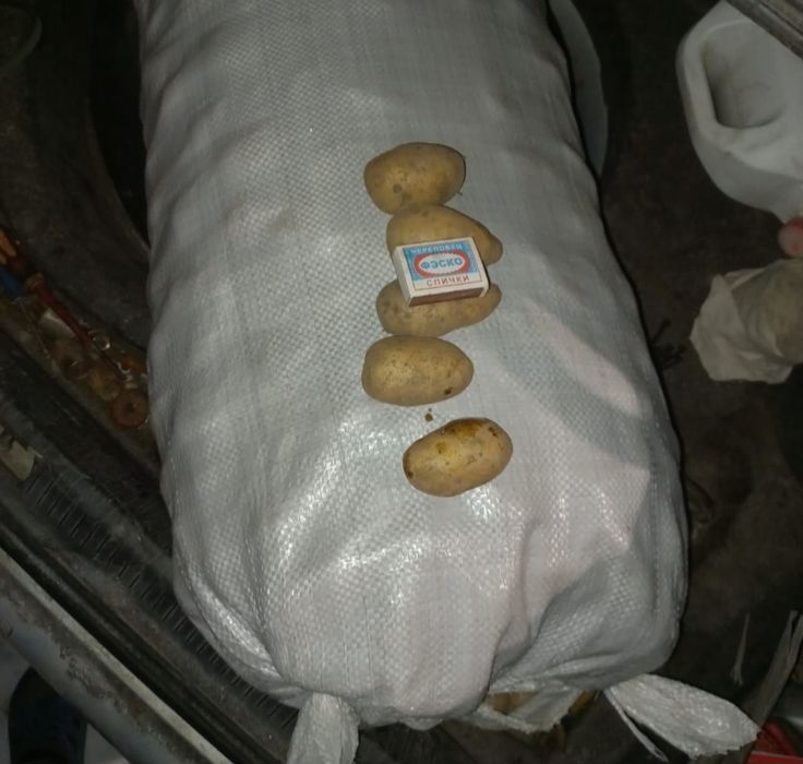 Картошка мешок 11000