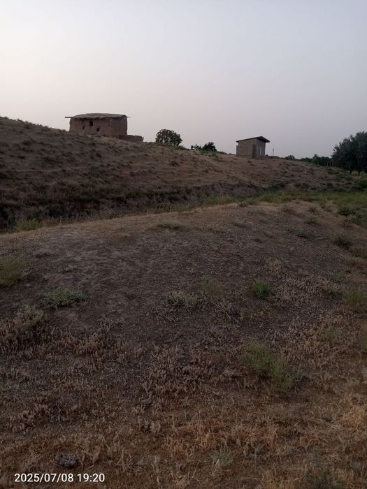 Tomorqa sotiladi suroshni dala