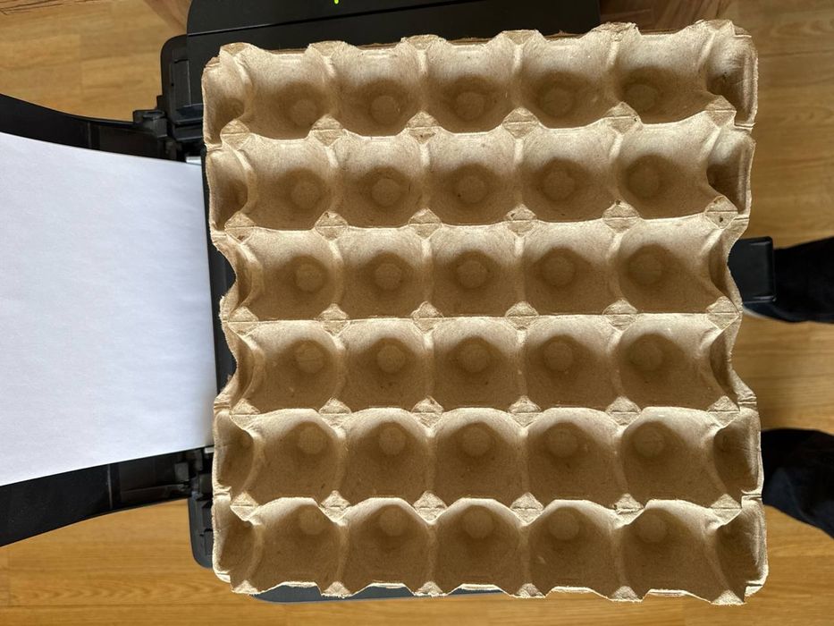 Упаковка для яиц, флейка