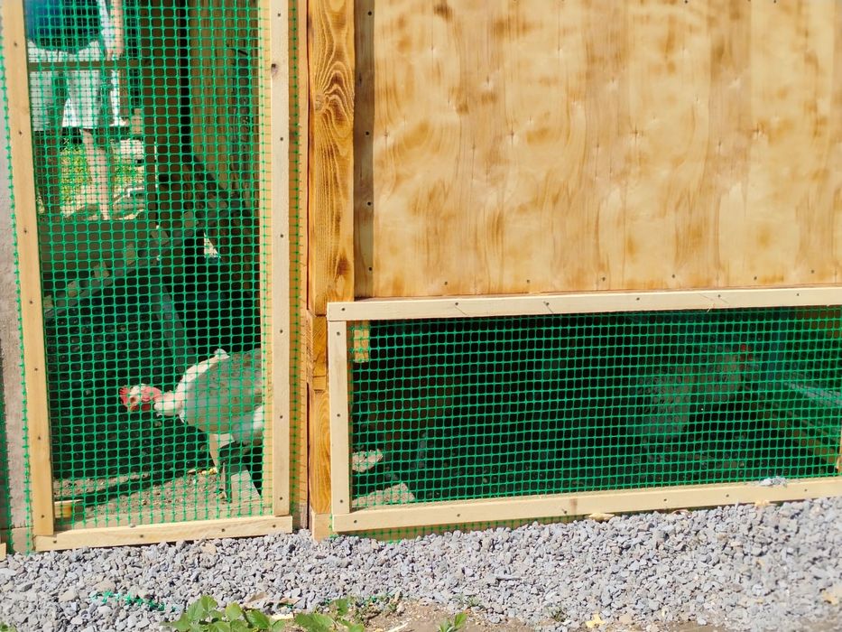 Курятник продам изготовлю