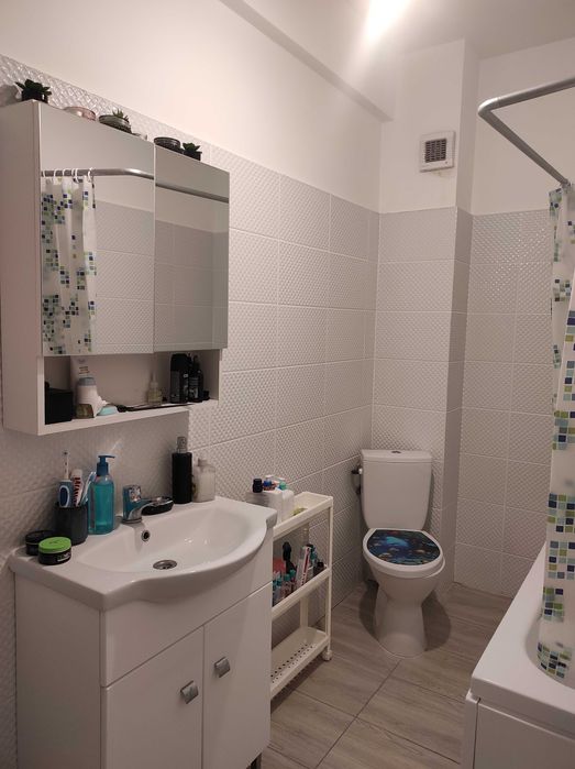 Chirie Pet friendly 1 camera Valea Lupului