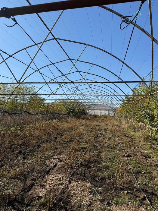 Solarii pentru gradina