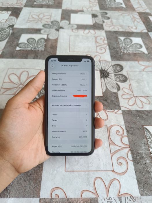 Iphone 11 (256 gb)