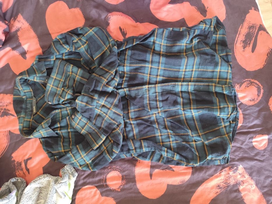 Бесплатно отдам срочно