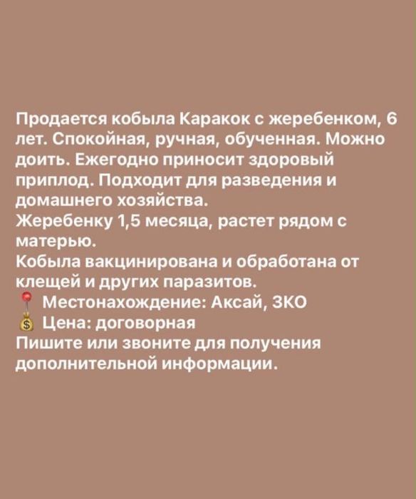 Кабыла с жеребенком
