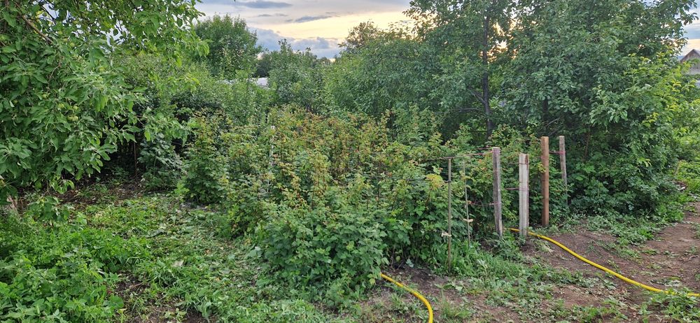 Продам дачу Уралочка