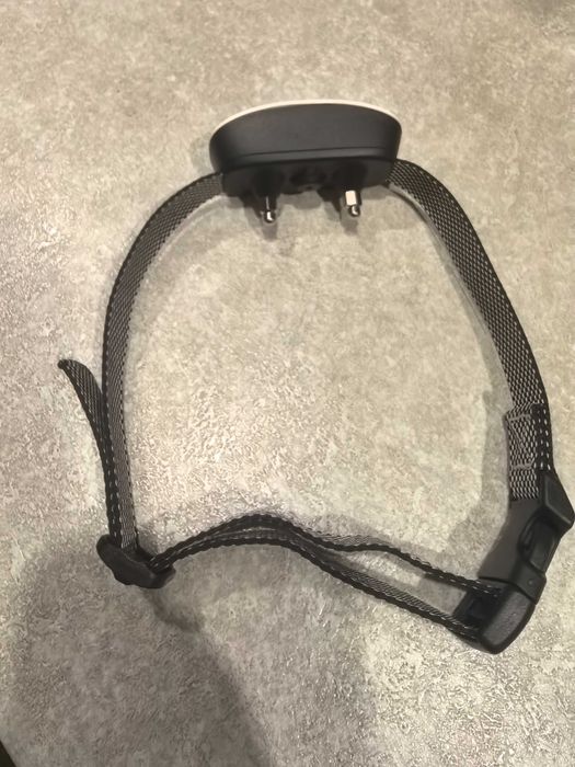 Нашийник за обучение на кучета.