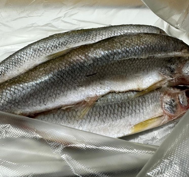 Рыба в ассортименте