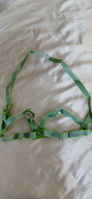 Кенгуру на Chipolino