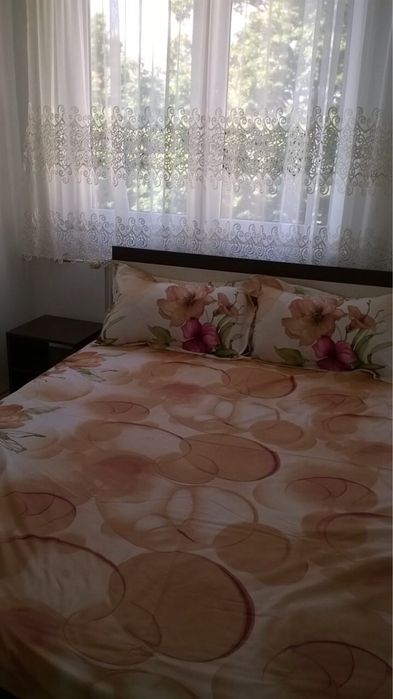 Chirie 2 camere rogerius