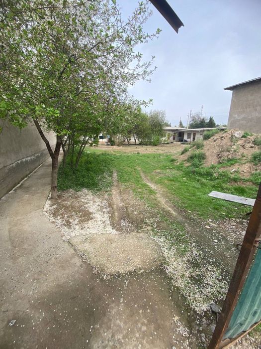 Yer sotiladi Manzil Toshkent viloyati Bekobod tumanida