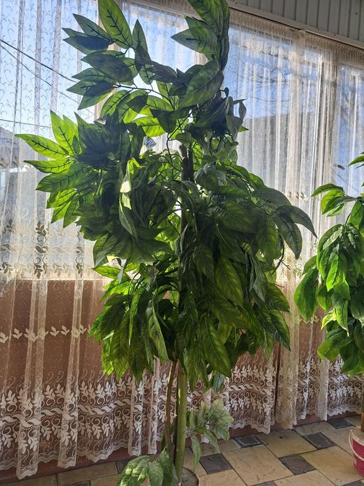 Жасанды ағаш сатылады   .Продам искуственные деревья