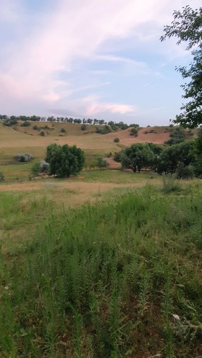 1-гектар жер сатылады Ленгерде