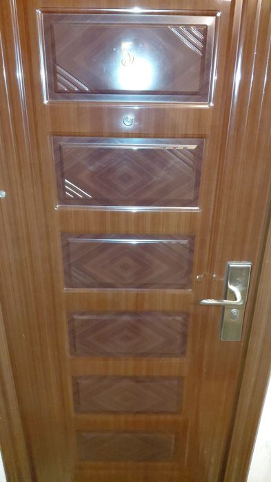 Usa metalica apartament