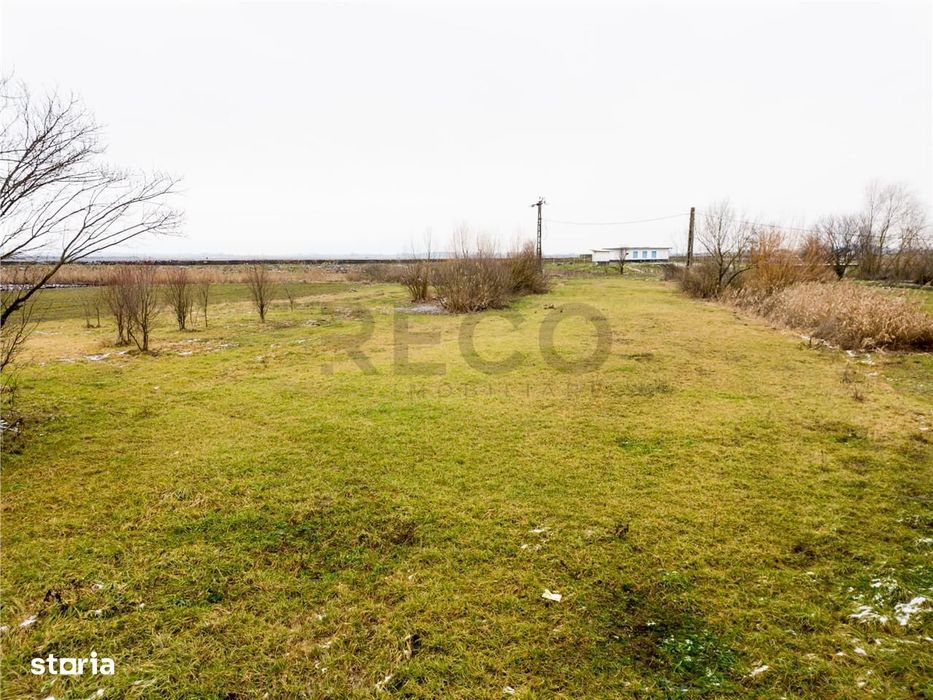 RECO . Teren intravilan cu hala metalica in Roit .