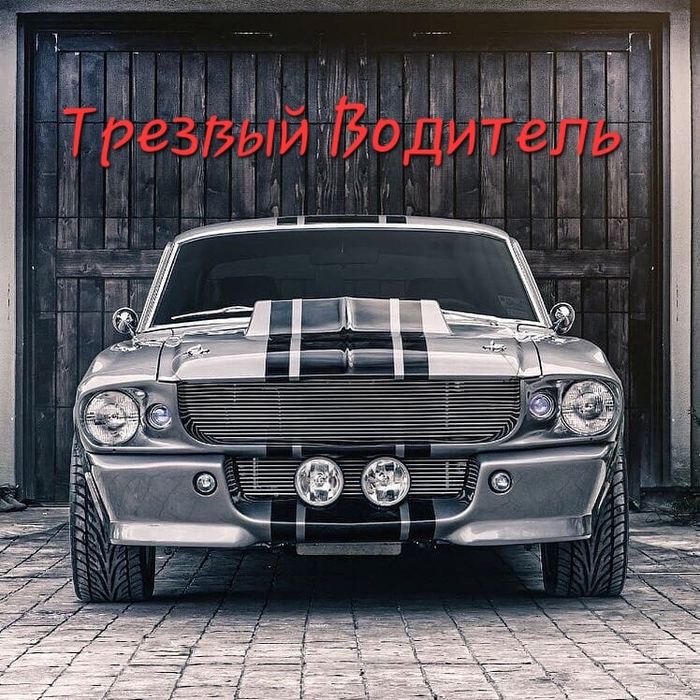 Трезвый Водитель